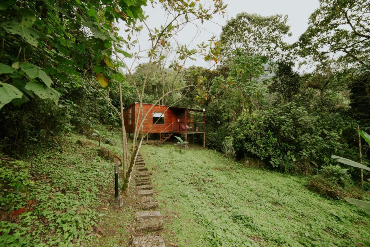 Coffee & Adventure Hotel By La Palma Y El Tucan Zipacon ภายนอก รูปภาพ