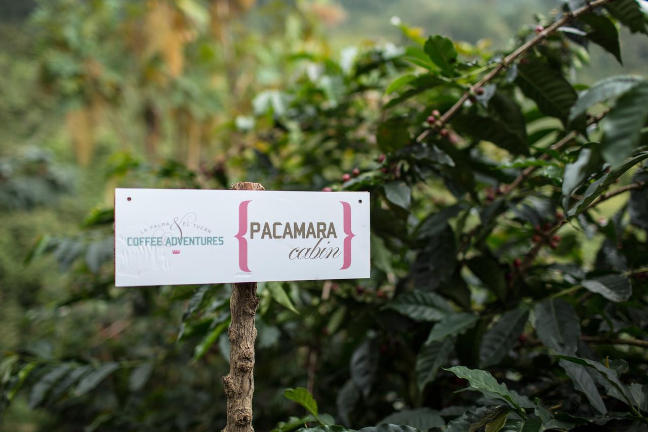 Coffee & Adventure Hotel By La Palma Y El Tucan Zipacon ภายนอก รูปภาพ