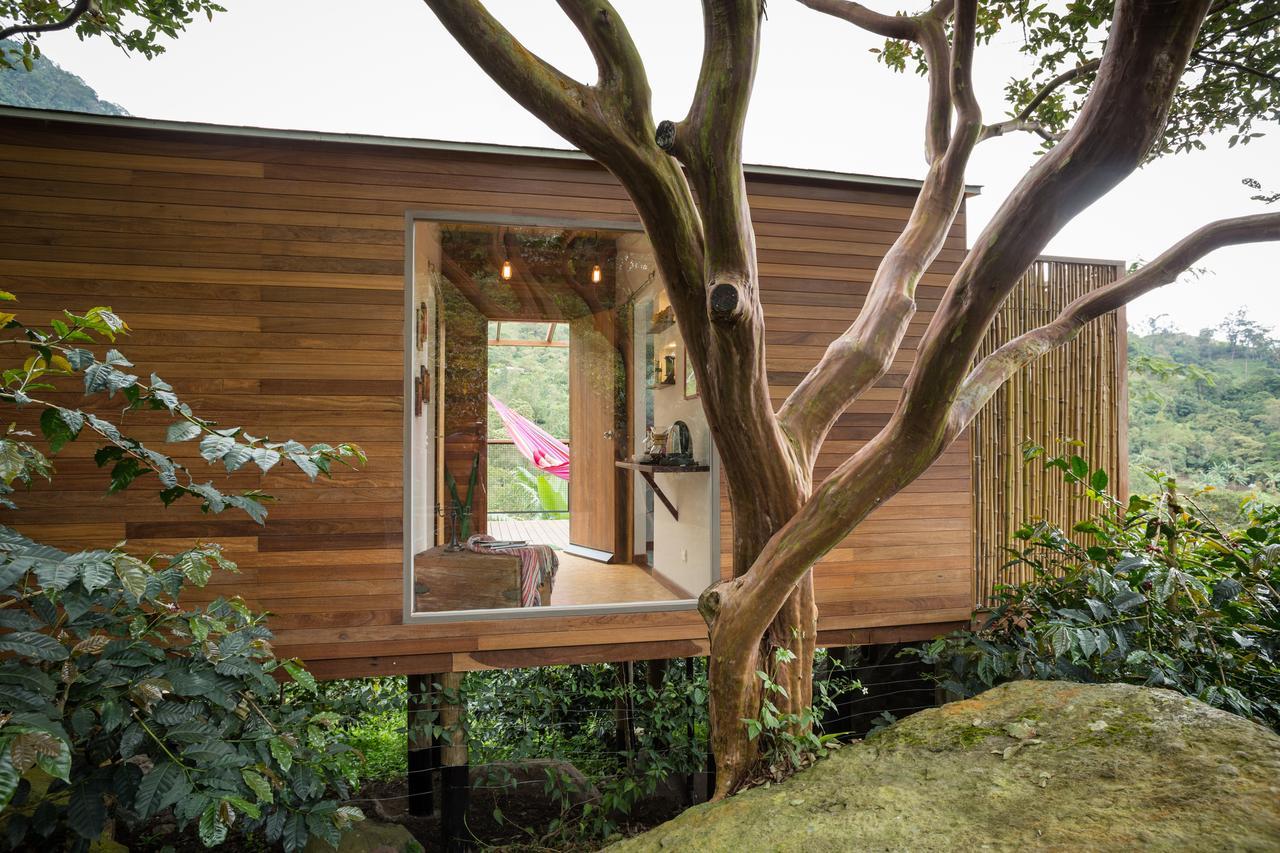 Coffee & Adventure Hotel By La Palma Y El Tucan Zipacon ภายนอก รูปภาพ