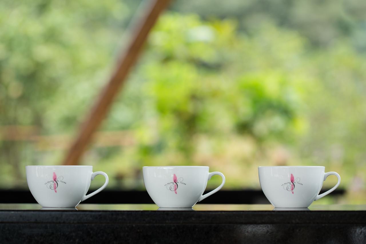Coffee & Adventure Hotel By La Palma Y El Tucan Zipacon ภายนอก รูปภาพ