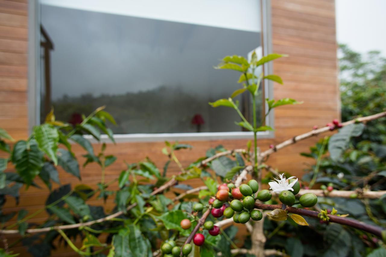 Coffee & Adventure Hotel By La Palma Y El Tucan Zipacon ภายนอก รูปภาพ