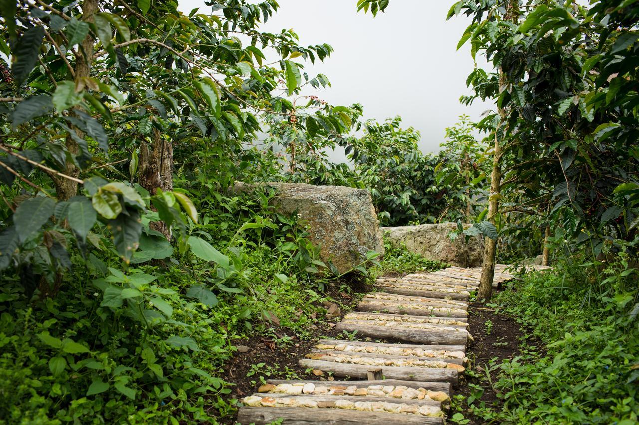 Coffee & Adventure Hotel By La Palma Y El Tucan Zipacon ภายนอก รูปภาพ