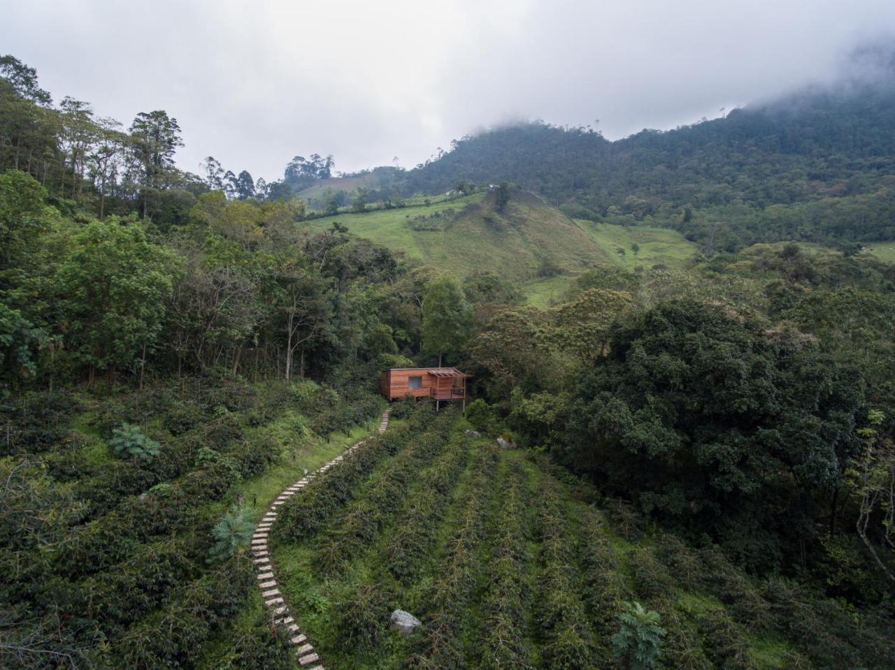 Coffee & Adventure Hotel By La Palma Y El Tucan Zipacon ภายนอก รูปภาพ