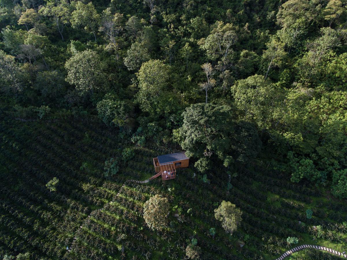 Coffee & Adventure Hotel By La Palma Y El Tucan Zipacon ภายนอก รูปภาพ