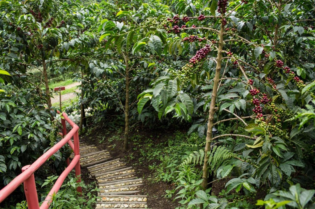 Coffee & Adventure Hotel By La Palma Y El Tucan Zipacon ภายนอก รูปภาพ